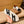 HM Men's Depart Slip-on Sneaker White Black Knit Cowhide 541299