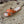 Rockstud Crisscross Espadrilles 20mm Sandal Wedges Orange