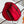 NEVERFULL MM 32 BROWN RED DAMIER AZUR