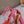 Open Toe Pump With One Stud Gold Patent Pink Leather 130MM