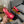 slingbacks 60mm red black canvas calfskin
