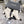 CC 26s Booties 6.5cm Black White Sheepskin 966878
