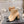 CC 26s Booties 6.5cm Black Beige Sheepskin 966879