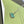 VCA Clover Vintage Turquoise Sliver 1 Diamond Necklace