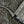 PLUMET POCKET WALLET 20 IN GREY BLACK GOYARDINE CANVAS AND LAMBSKIN TRIM