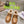 GG Snow Boots Brown Patent Calfskin Wool 576237