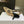 JAdior Slingback Pump 65 Black Embroidered Cotton with Gold-Tone Metallic Thread