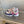 CC Sneaker In Multicolor Suede 145633
