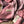 SCARF 200 CM IN ROSE PINK CASHMERE 394727