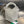 CAVALLINO 23 BAG IN WHITE LAMBSKIN