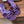 SLINGBACK ETERNITE 75 VIOLET LAMBSKIN AND CROCODILE LEATHER