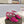 SL TRIBUTE CRYSTAL SANDALS DEEP PINK CALFSKIN
