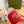 GG 26ss Slide Red Straw Sheepskin 692198