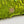 BAGUETTE MINI 19 IN LIMERICK GREEN SEQUINS GOLD HARDWARE