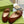 BLONDIE LOGO-PLAQUE LOAFERS IN SYRUP BROWN CALFSKIN