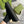 GG LONG WALLET 19 IN BLACK CANVAS
