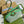 ophidia large 24cm comestic pouch beige green monogram canvas