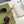 sling back pump 40 beige and ebony canvas