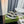 GG SNEAKER FLATFORM BLACK CANVAS
