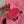 D-JOY BAG 22 IN HOT PINK MACROCANNAGE DENIM