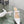 cd pump 65 transparent mesh embroidered white flower moitf
