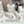 FLOW RUNNER SNEAKER IN PALE GRAY SUEDE AND SHEEPSKIN