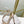 Jimmy Azia 95 In Light Beige Pink Glossy Cowhide Sandals 587703