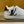 LV RIVOLI SNEAKER MEN WHITE