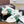 VT 2025 Sneakers White Green Mesh Calfskin Fabric 546972