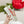 GG TRAINER SAGE CALFSKIN WITH FLOWERS PATTERN