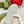 GG TRAINER LIGHT PINK CALFSKIN