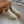 LP SUMMER WALK LOAFERS SAND SUEDE