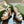 GG 120 INTERLOCKING G SANDAL WHITE CALFSKIN