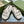 GG INTERLOCKING G CUT OUT SANDAL WHITE LAMBSKIN