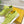 FENDI TRAINER SNEAKER IN YELLOWISH GREEN LAMBSKIN