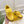 FENDI TRAINER SNEAKER IN CORN YELLOW LAMBSKIN