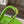 Loewe Small Paseo Chain Shoulder Bag Green Calfskin
