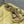 micro lady 12 yellow lambskin ghw