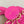 SMALL LADY 20 DARK HOT PINK LAMBSKIN