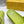 FENDI BAGUETTE SLIPPERS IN PEAR GREEN LAMBSKIN WITH GOLD HARDWARE