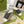 GC 25 Interlocking G 50mm Slide Sandal Jet Black White Cowhide 292381