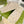 GC 25 Interlocking G 50mm Slide Sandal Monogram Beige Cowhide 292388