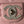 CC 26 CLUTCH WITH CHAIN BAG IN LIGHT PINK CALFSKIN