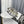 CD Mule Dway Slide 10mm Multi-motifs Style 55