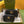 GG MINI 18 MARMONT MATELASSÉ BLACK CALFSKIN WITH GOLDEN LOGO