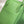 HM LINDY 30 BAG KELLY GREEN TAURILLON CLEMENCE LEATHER