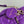 D-JOY BAG 22 IN VIOLET PURPLE LAMBSKIN