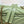 YSL Small Loulou Bag 23cm Olive Lambskin