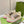 GG Screener Sneaker Pink Fuscia