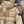 Burberry 25 Long Coat Beige Down Nylon